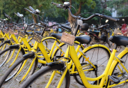 ofo：多地办公室人去楼空为不实报道，不放弃地方市场