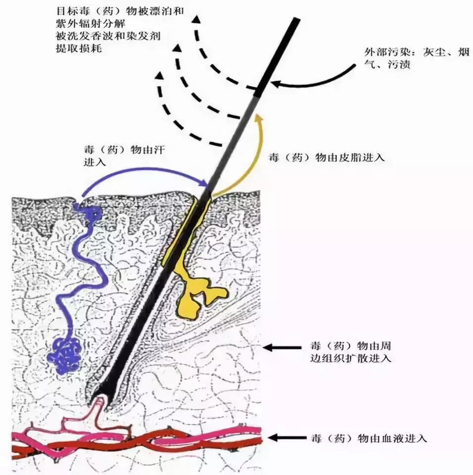 微信图片_20181129145023.jpg