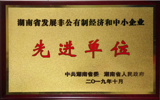 蓝思科技获评“湖南省发展非公有制经济和中小企业先进单位”