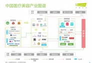 艾瑞咨询：中医医美仍存五黑现象，呼唤产业平台推动自律