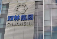 双林股份商誉计提收尾，多项举措聚焦主业