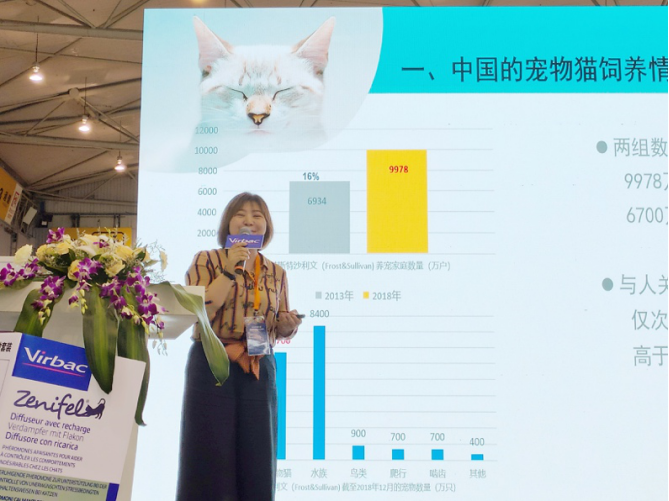 猫咪情绪安抚良药来了，维克中国发布旗下首款猫用安抚产品