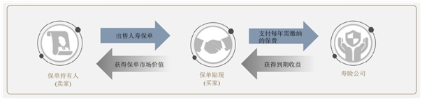 国内投资人跨境投资提速，保单贴现或成另类投资新宠