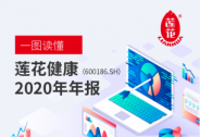 一张图读懂莲花健康2020年年报