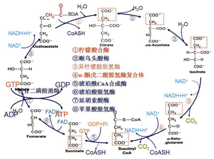 微信截图_20210408094405.png