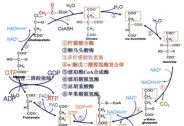 NMN最新资讯：年下恋CP你最喜欢谁？看姐姐如何俘获弟弟的心