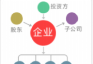 朝云集团中报出炉：营收毛利双增长 宠物品类业绩再创新高