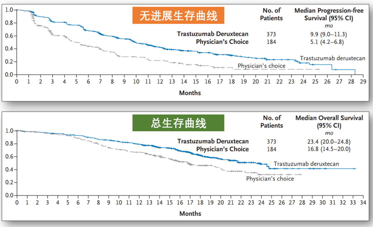 复旦张江研发的注射用FDA022抗体偶联剂I期临床试验获受理