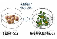 华卫恒源完成数千万Pre-A+轮融资