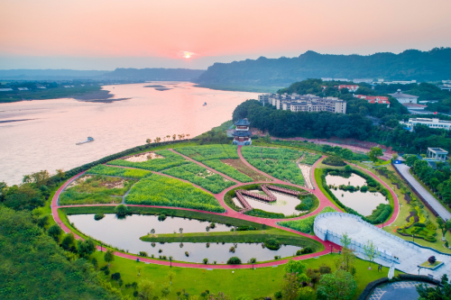 五粮液：将服务“双碳”战略与企业高质量发展之间实现有效衔接