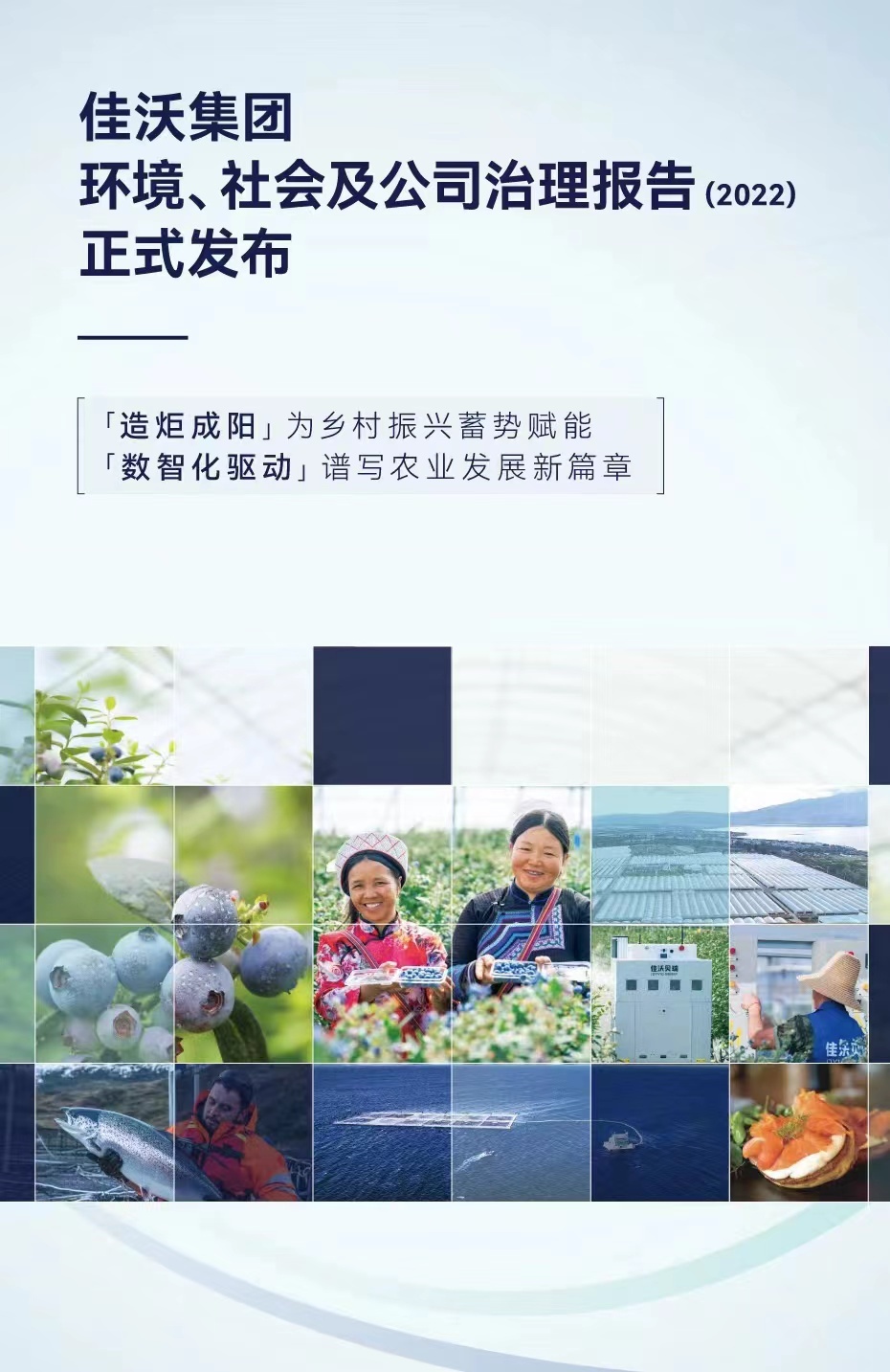 《中国乡村振兴》杂志社、佳沃集团发布报告：让一方水土既能育产业也能富百姓