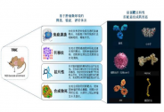 泽维生物完成千万元天使轮融资