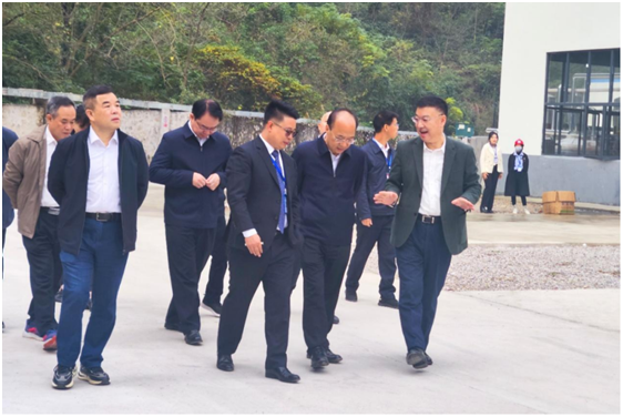 广西壮族自治区副主席廖品琥专程到河化工业园考察
