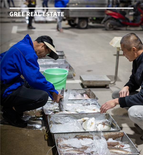 “夜经济”点亮渔港灯火，格力地产洪湾中心渔港海鲜批发夜市正式开业