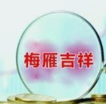 梅雁吉祥（600868.SH）2025年中报：主营业务短期受困，并购落子BPO领域探索增长新路径