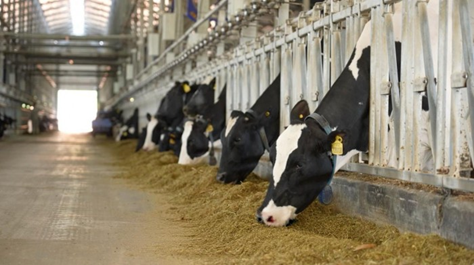 1761724505637985.png image.png