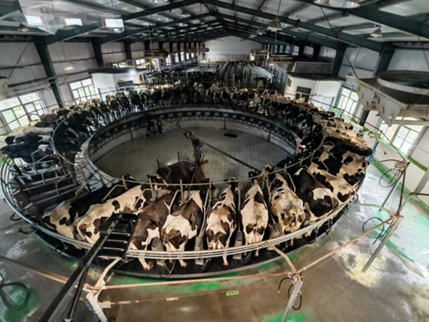 1761724530223492.png image.png