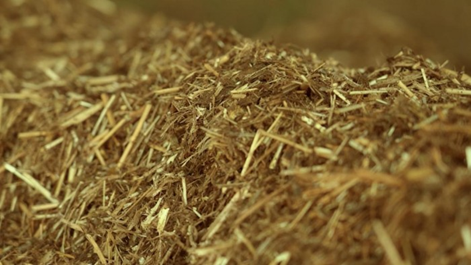 1761724536229388.png image.png