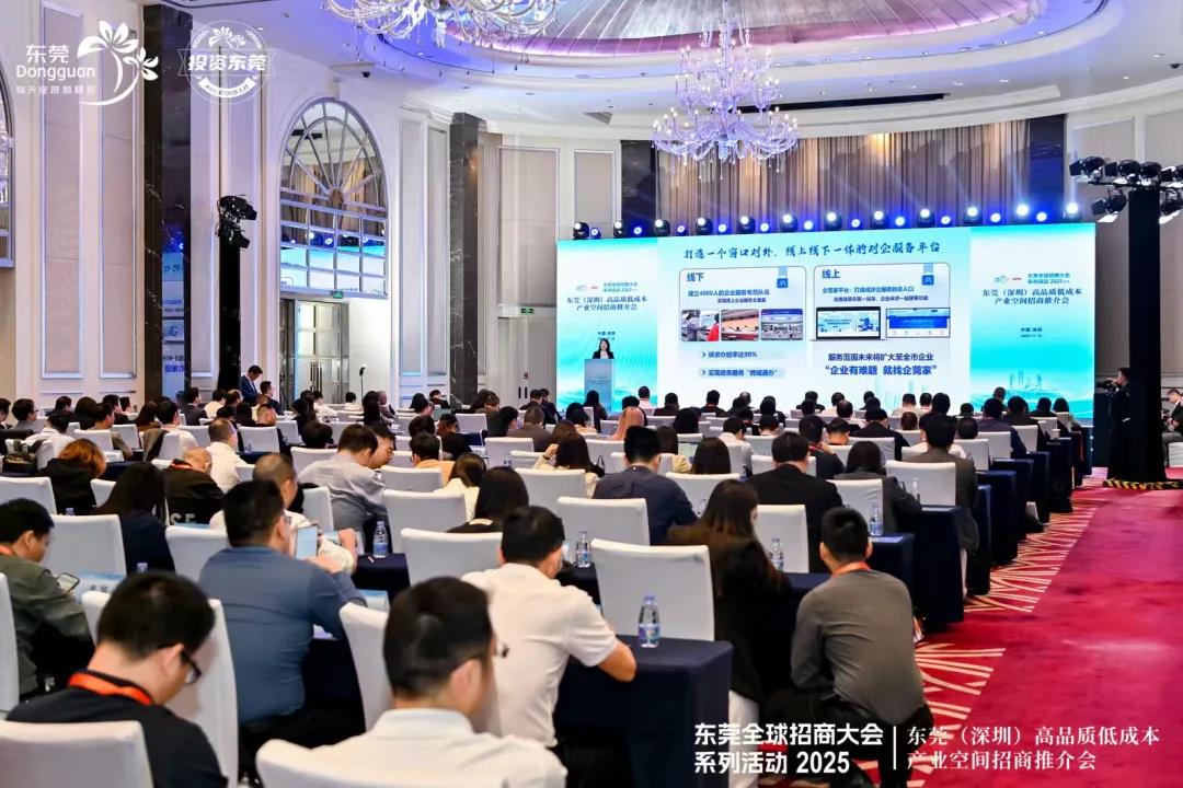 1763015503870517.jpg 12.jpg