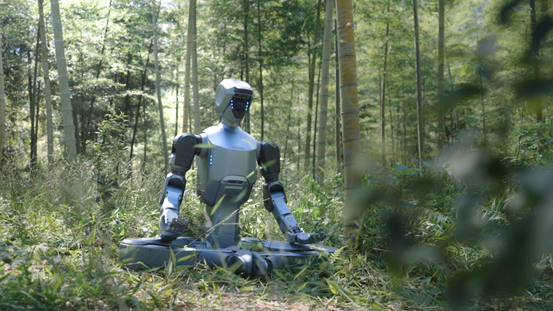 1765263934363692.png image.png