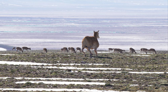 1765263952829852.png image.png