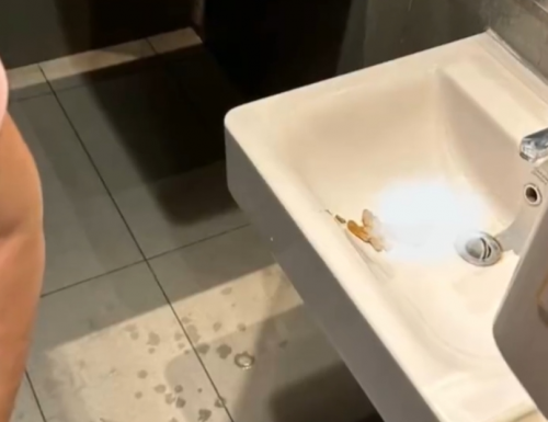 1766061408417879.png image.png