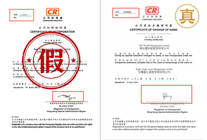 假冒 EagleTrader 行为为何层出不穷？平台梳理信息被“高仿”的关键环节