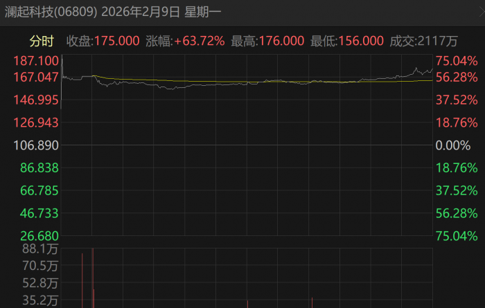 单日暴涨63%，又一巨头横空出世了