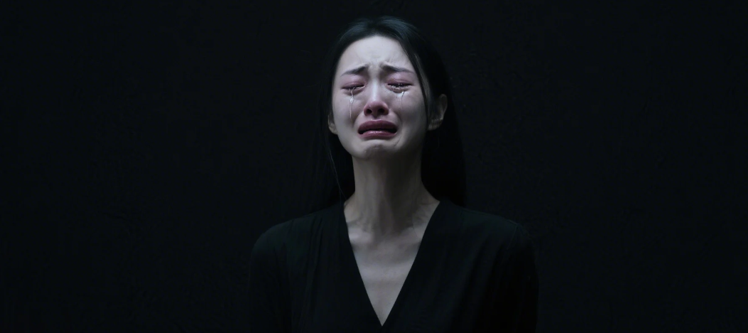 梦碎IPO，明星电商倒闭了