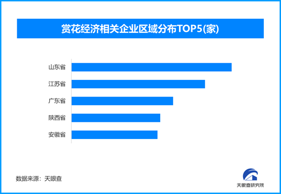 春日经济：赏花热带动消费潮，现存赏花经济相关企业超811万家