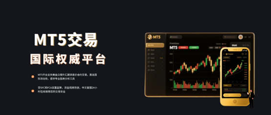 2026国际十大主流mt5交易平台推荐！