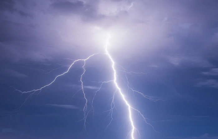 A股养猪巨头，集体亏麻了