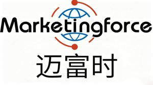 TOP10 全景拆解：AI 智能回答时代的数字卡位战，企业入局检索  GEO 交付全维度解读