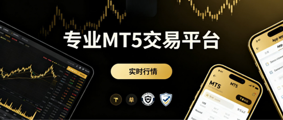 MT5交易平台哪个好？十大专业MT5交易商名单一览！