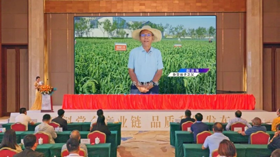 1784543527853268.png image.png
