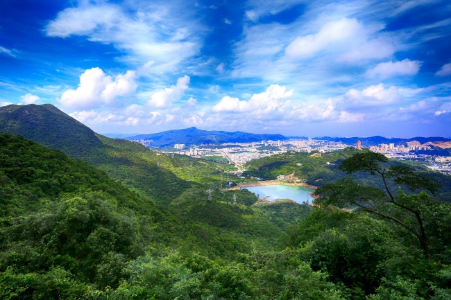 以案为鉴，拷问责任：别再漠视观音山的生态之殇