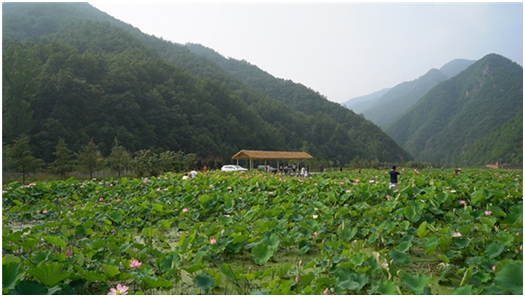 1613723111500846.png image.png