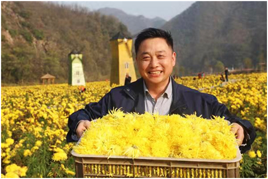 1613723117906636.png image.png