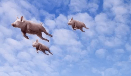 1631262954837269.png image.png