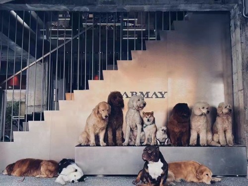 1638442104123996.jpg 1.jpg