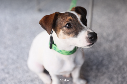 1638442153867090.png 5.png