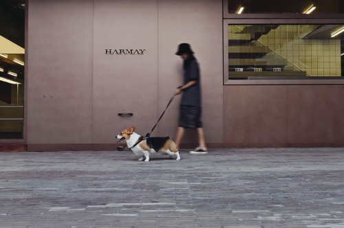 1638442169705161.jpg 6.jpg