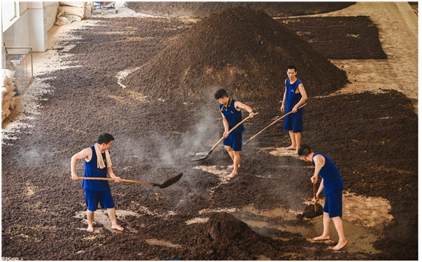 1639022508705118.png image.png