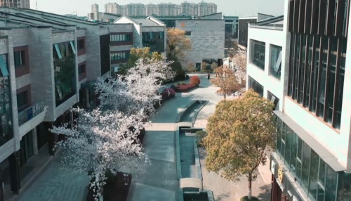 1648554312736833.jpg 3.jpg