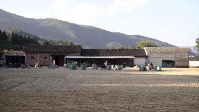 1650939424921740.png image.png