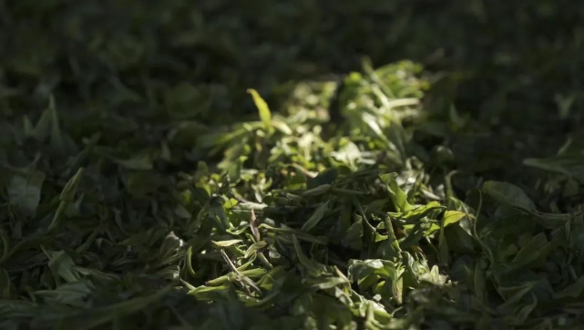 1650939439132593.png image.png