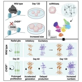 1652925912772850.png image.png