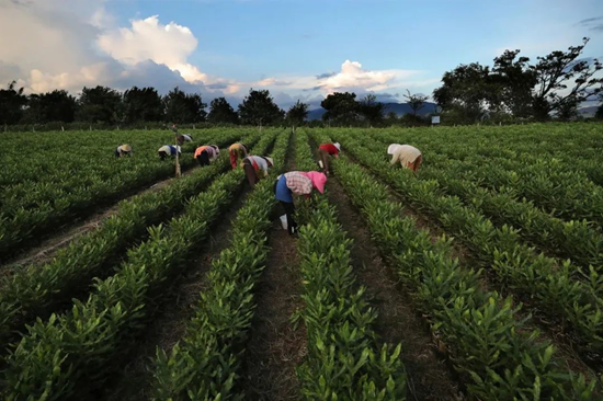 1680071477375538.png image.png