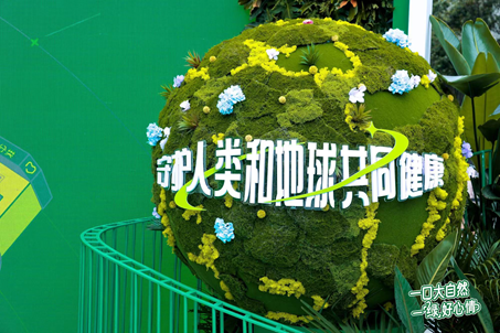 1713781502492754.png image.png