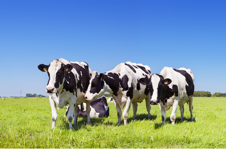 1714373312289775.png image.png